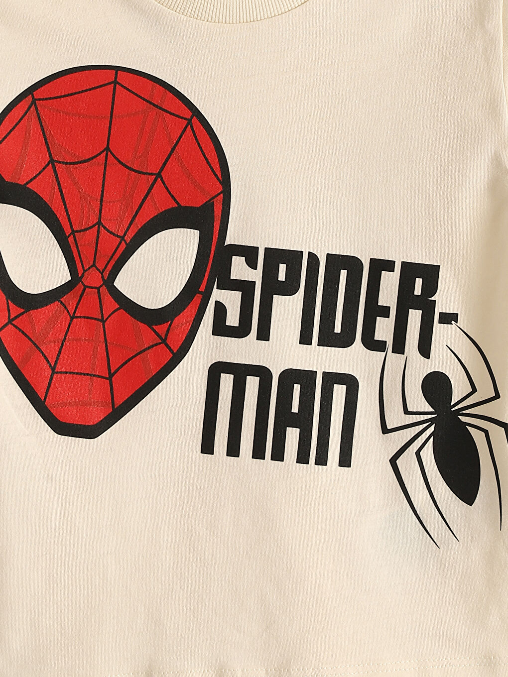 Crew Neck Spider-Man Printed Boys' T-Shirt 2 Pack -S56358Z1-QVK