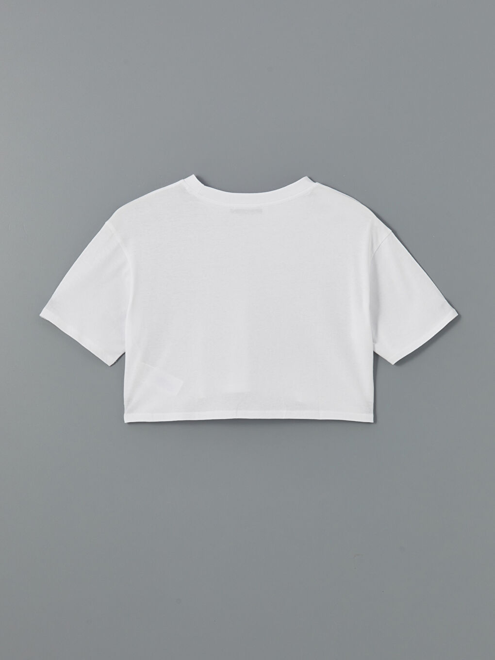 Crew Neck Women's Crop Top -S56652Z8-Q6K