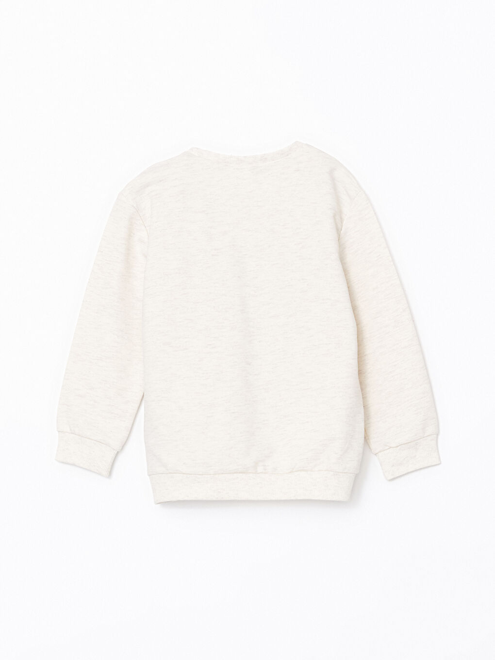 Beyaz Dinozor Baskılı Erkek Çocuk Sweatshirt-5