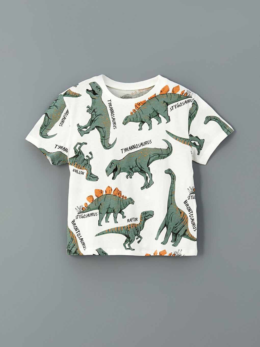 Crew Neck Dinosaur Printed Boys' T-Shirt and Shorts 2 Pack -S56882Z1-LRA