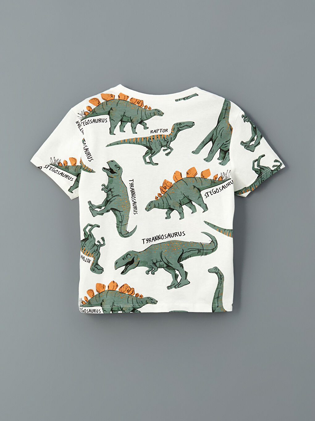 Crew Neck Dinosaur Printed Boys' T-Shirt and Shorts 2 Pack -S56882Z1-LRA