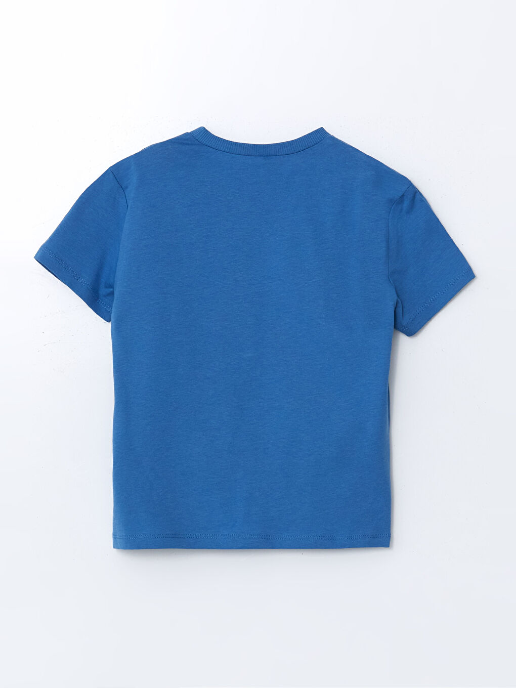 Mavi Dinozor Baskılı Erkek Çocuk Tişört-1