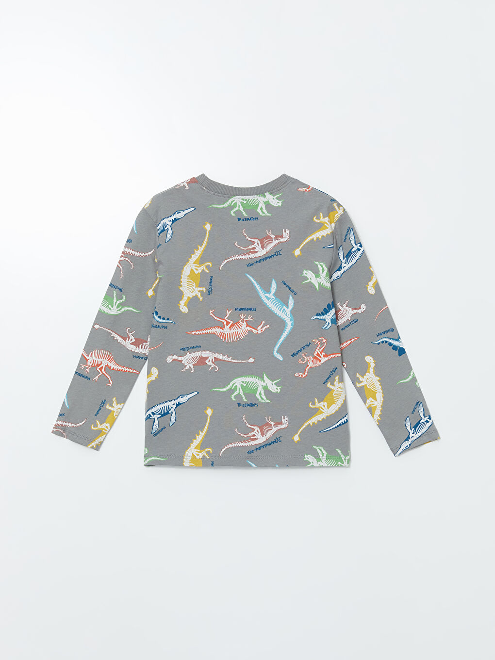 Gri Bisiklet Yaka Dinozor Baskılı Erkek Çocuk Tişörtü-1