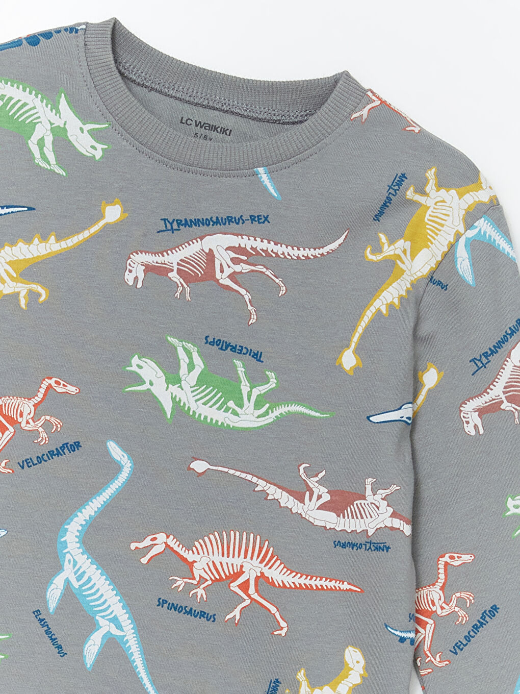 Gri Bisiklet Yaka Dinozor Baskılı Erkek Çocuk Tişörtü-2