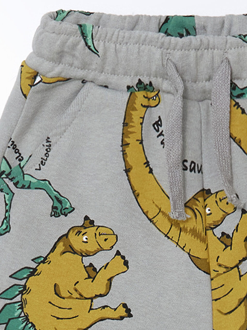 Dinosaur Printed Boys' Jogger Sweatpants -S57063Z1-LRW