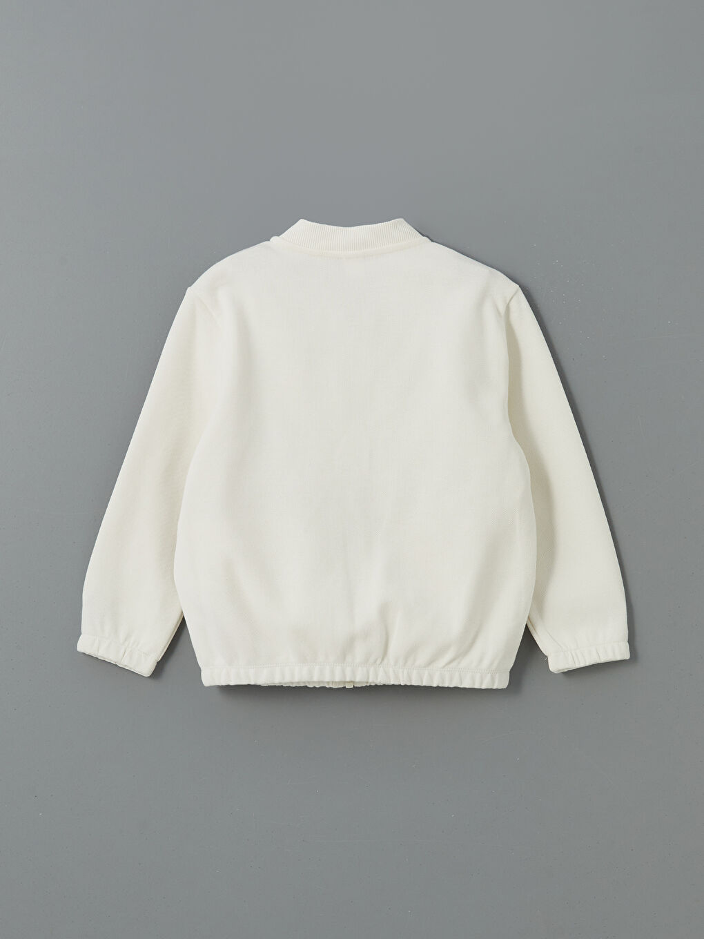 Basic Boys' Zippered Sweatshirt -S57092Z1-FDU