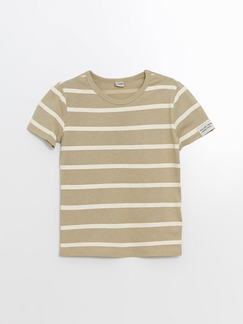 Crew Neck Striped Boys' T-Shirt -S57137Z4-LGD