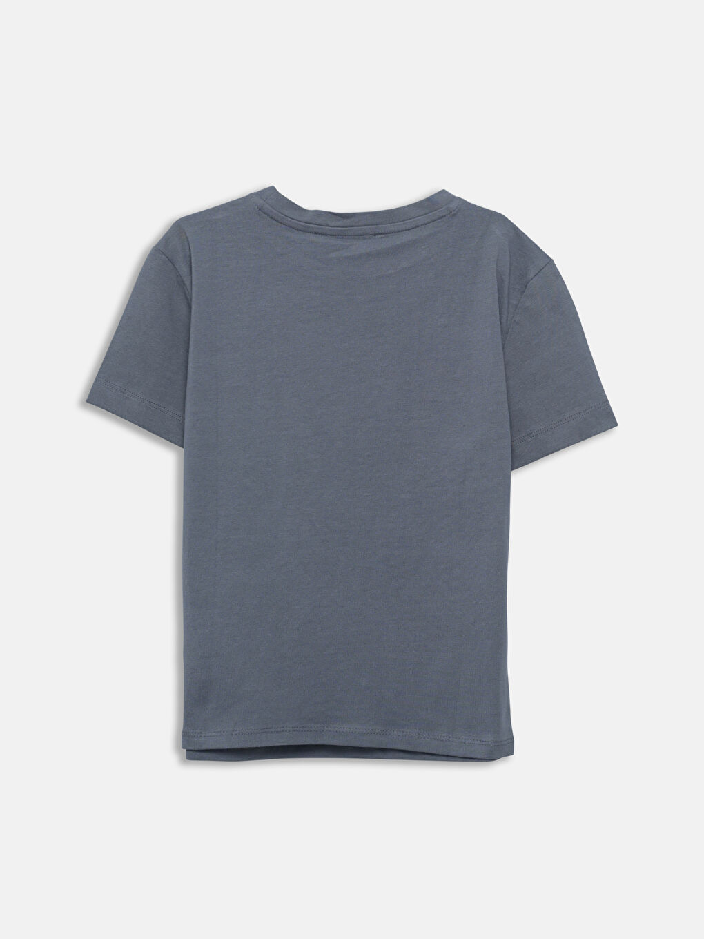 LCW Vision Crew Neck Printed Women's T-Shirt -S57251Z8-HGL