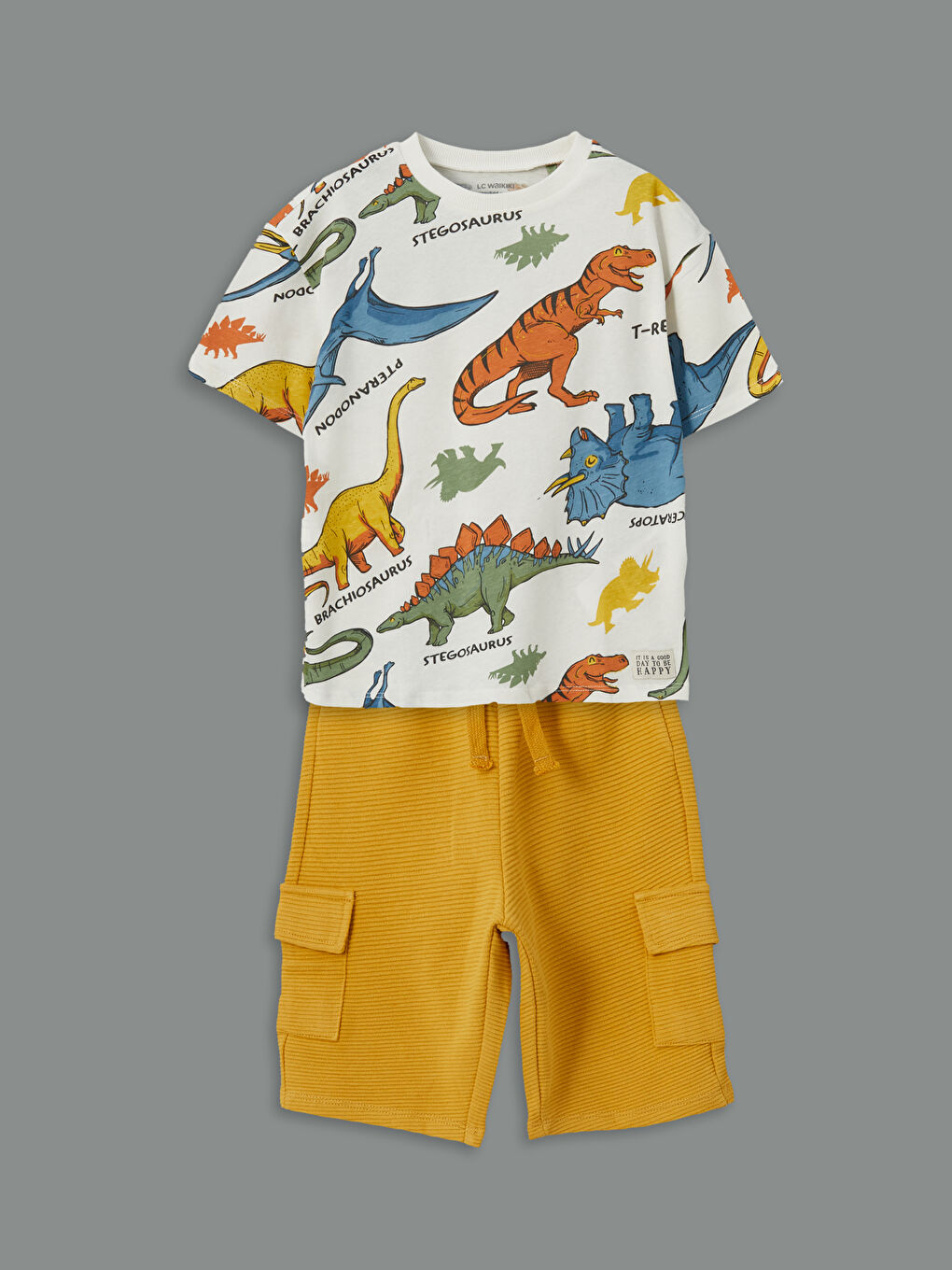 Set od 2 komada za dečake, majica i šorts sa otiskom dinosaurusa -S57338Z1-LRA