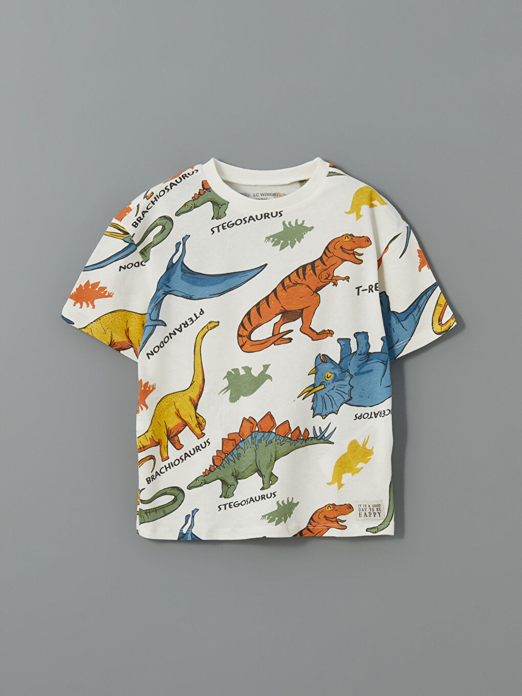Set od 2 komada za dečake, majica i šorts sa otiskom dinosaurusa -S57338Z1-LRA
