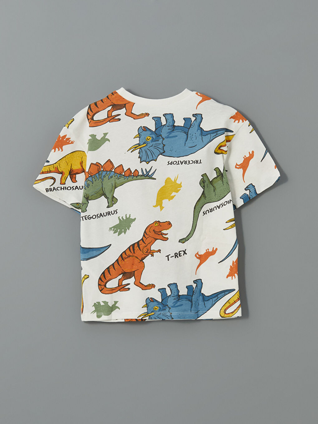 Set od 2 komada za dečake, majica i šorts sa otiskom dinosaurusa -S57338Z1-LRA