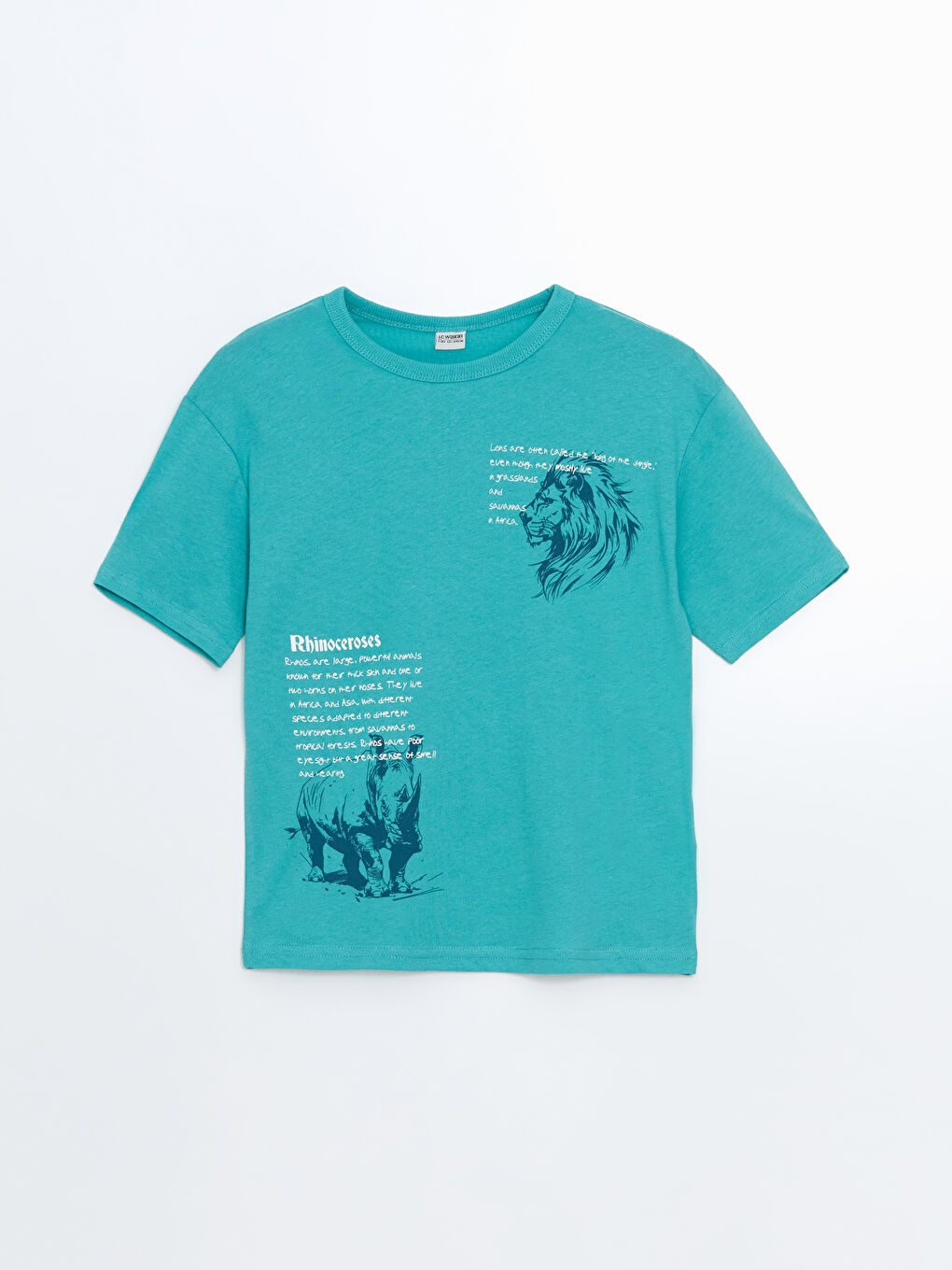 Crew Neck Printed Jersey Boys' T-Shirt -S58829Z4-GGT
