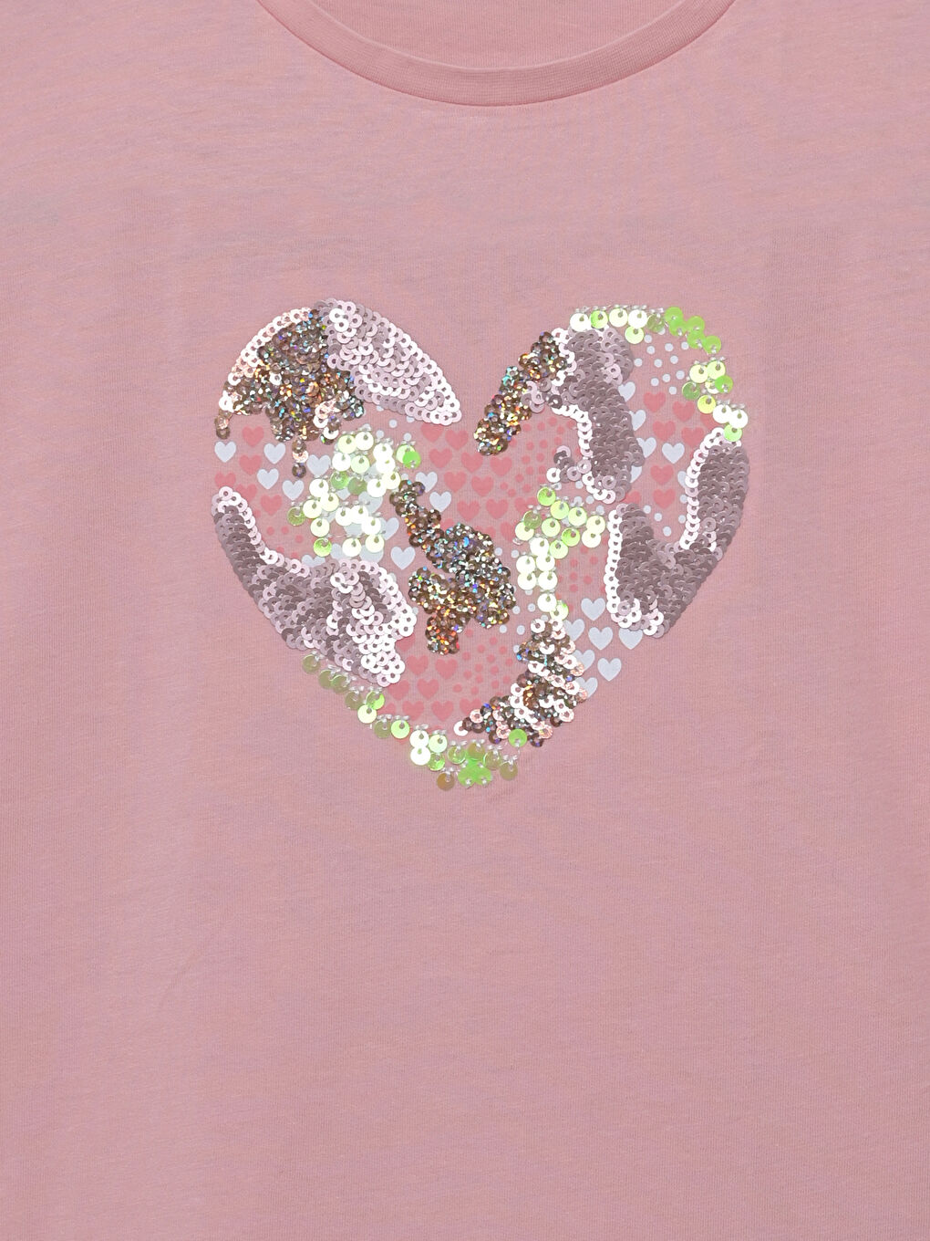 LCW Kids Crew Neck Embroidered Girls' T-Shirt -S59213Z4-YTJ