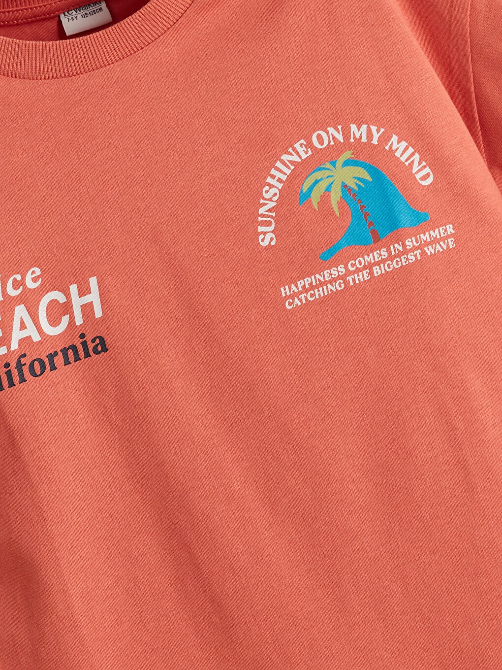 Crew Neck Boys' T-shirt-4