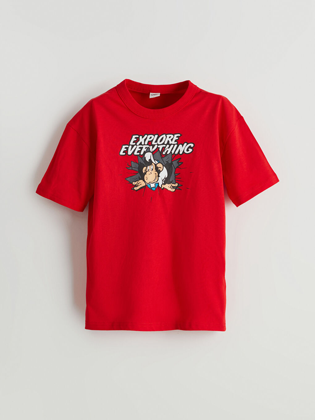 Crew Neck Nostalgic Monkey Printed Boy's T-Shirt -S59731Z4-KYV
