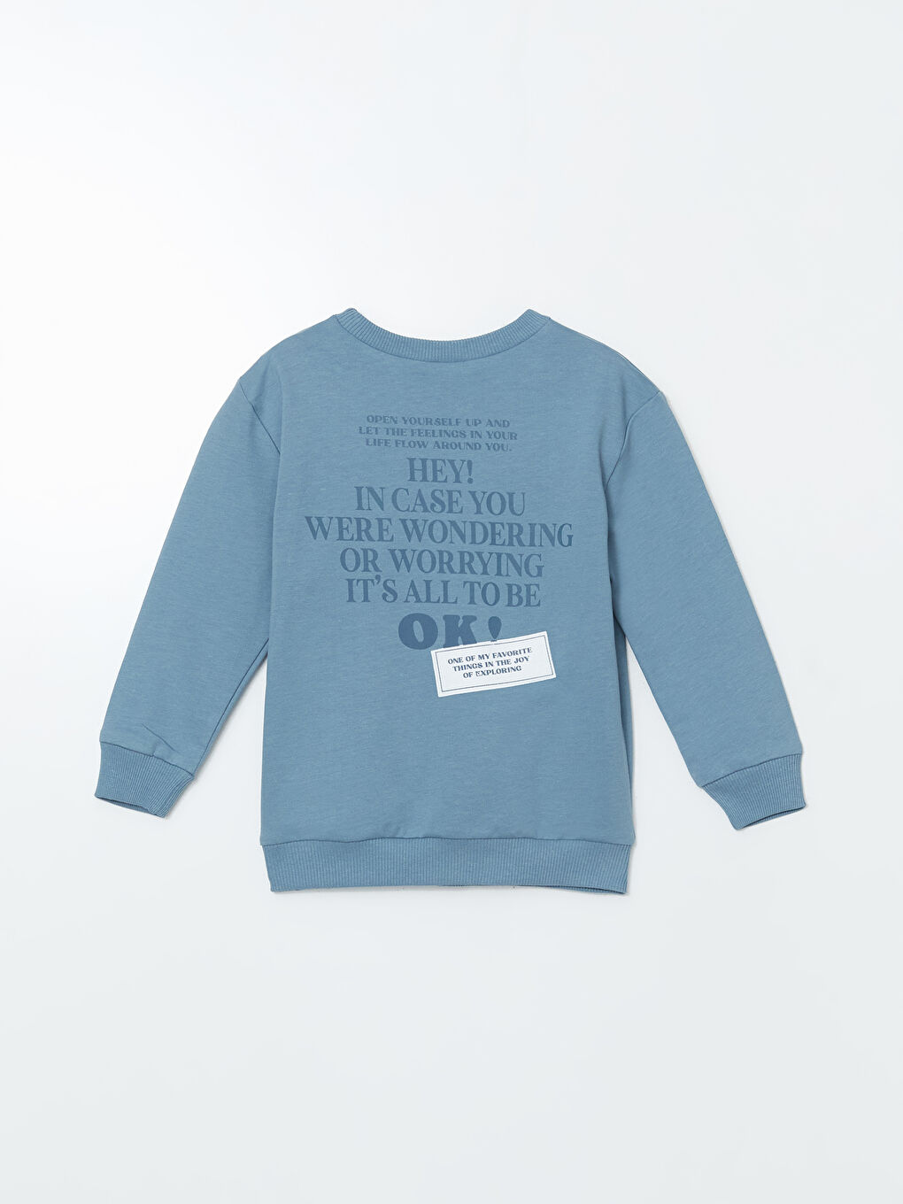 Crew Neck Boys' Sweatshirt-2