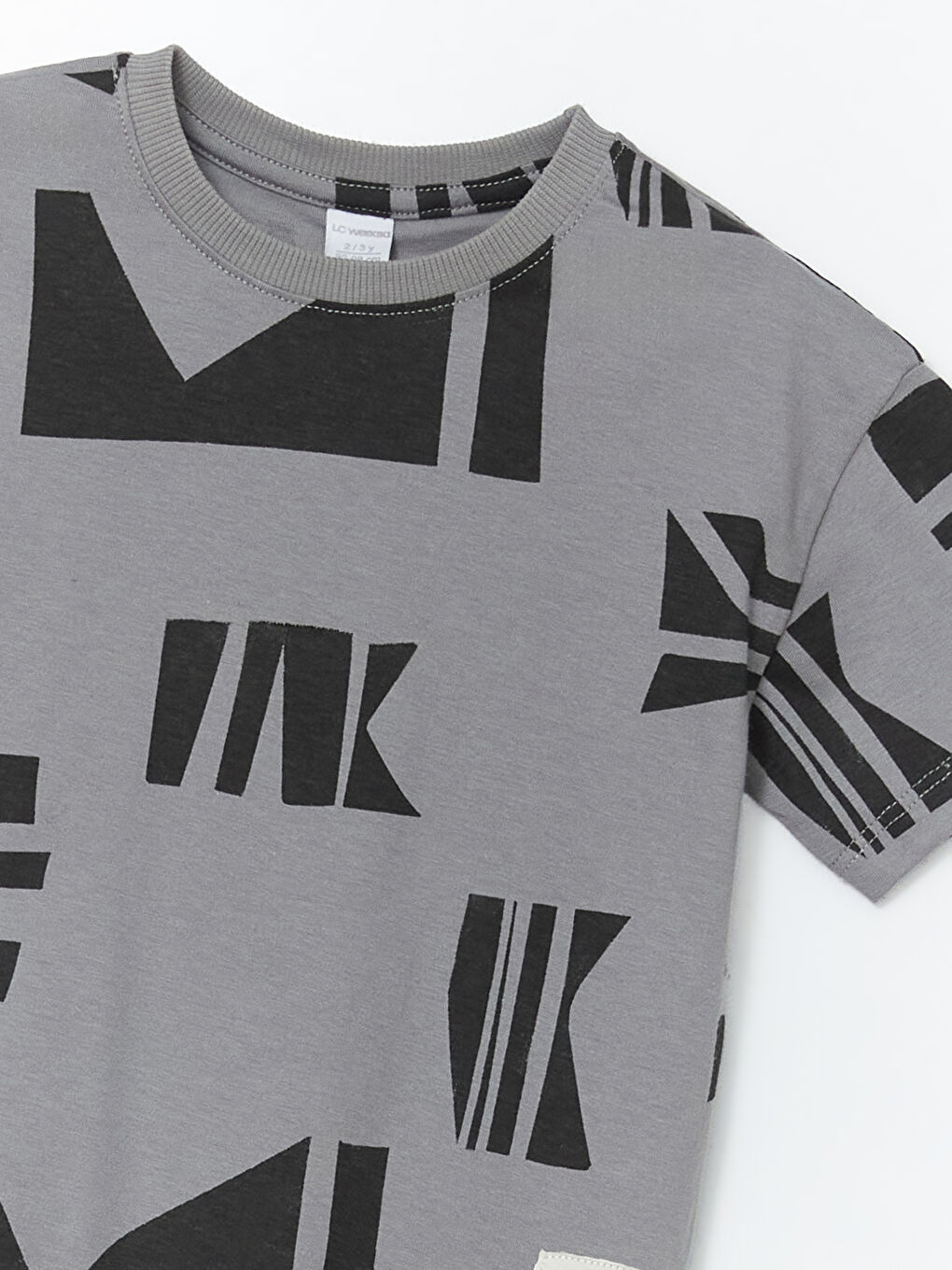 Crew Neck Printed Boys' T-Shirt -S5AE02Z1-GSE