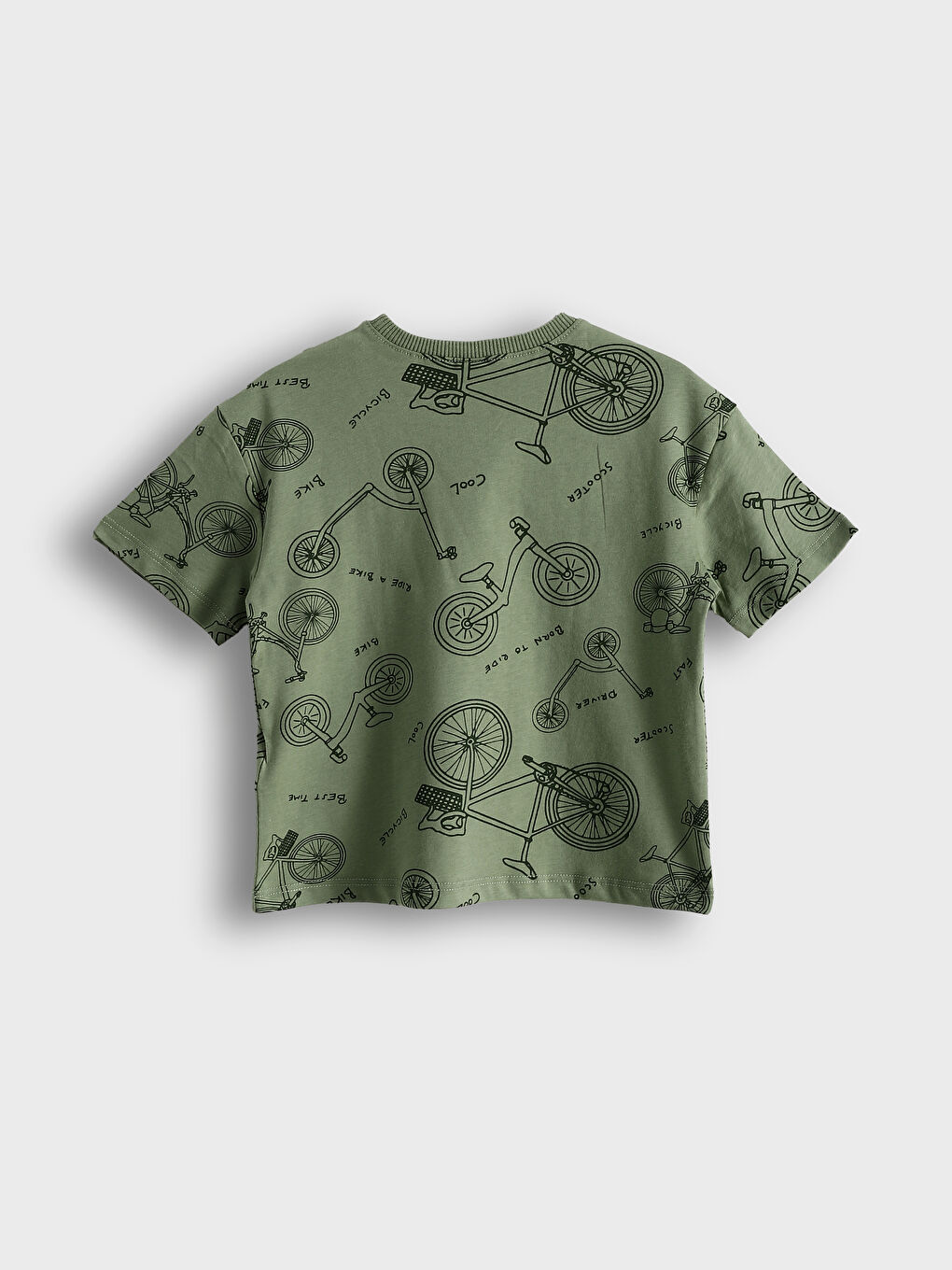 Crew Neck Printed Boys' T-Shirt 2 Pack-3