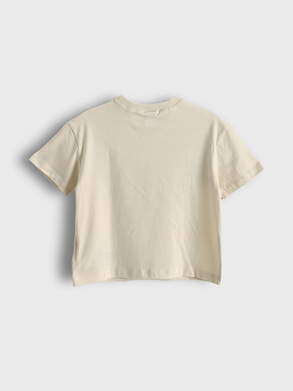 Crew Neck Printed Boys' T-Shirt 2 Pack-4