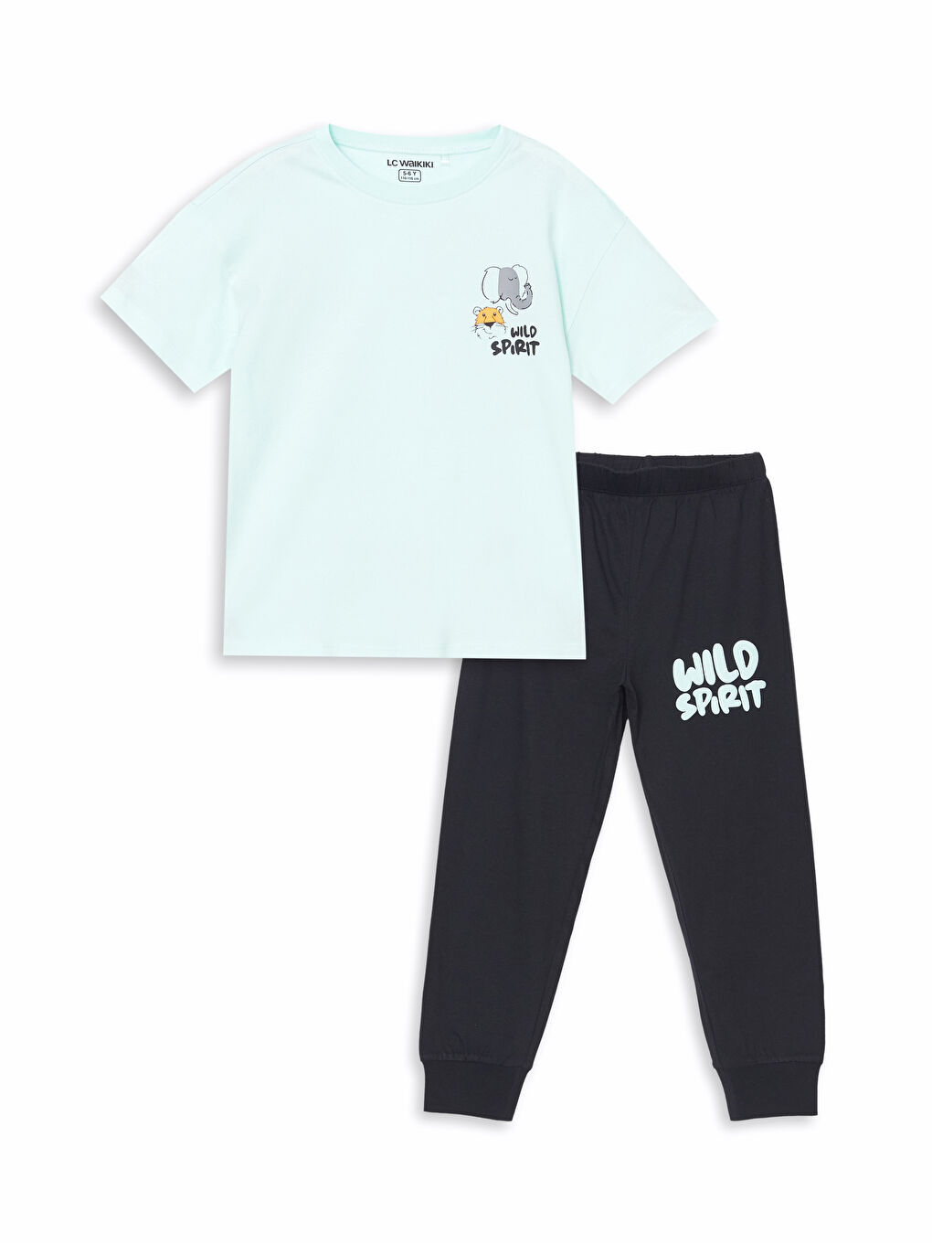 Crew Neck Printed Boys' Pyjama Set -S5AG45Z1-FPW