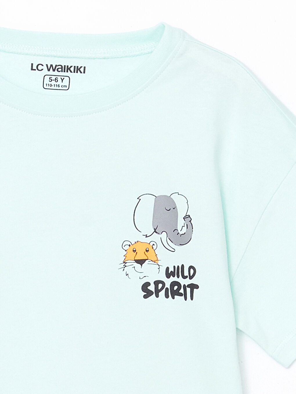 Crew Neck Printed Boys' Pyjama Set -S5AG45Z1-FPW