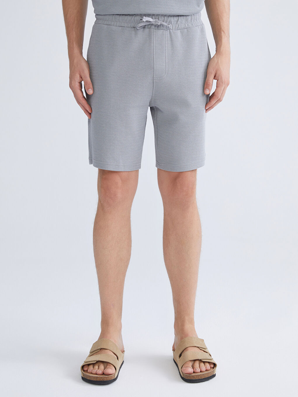 Standard Fit Men's Shorts-2
