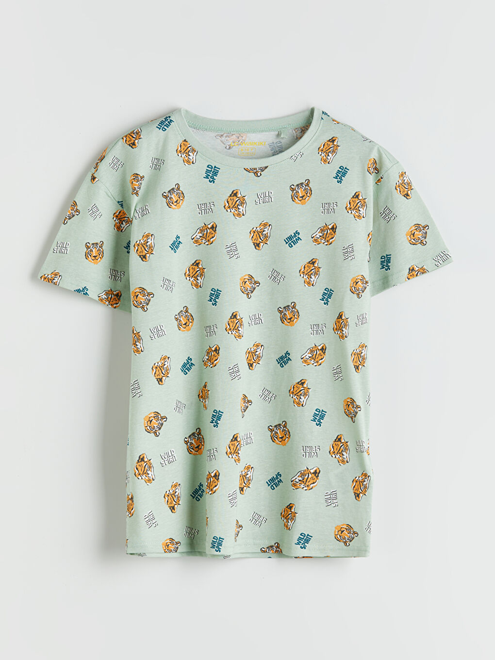 Crew Neck Printed Boys' Pyjama Set -S5AO99Z4-LRK