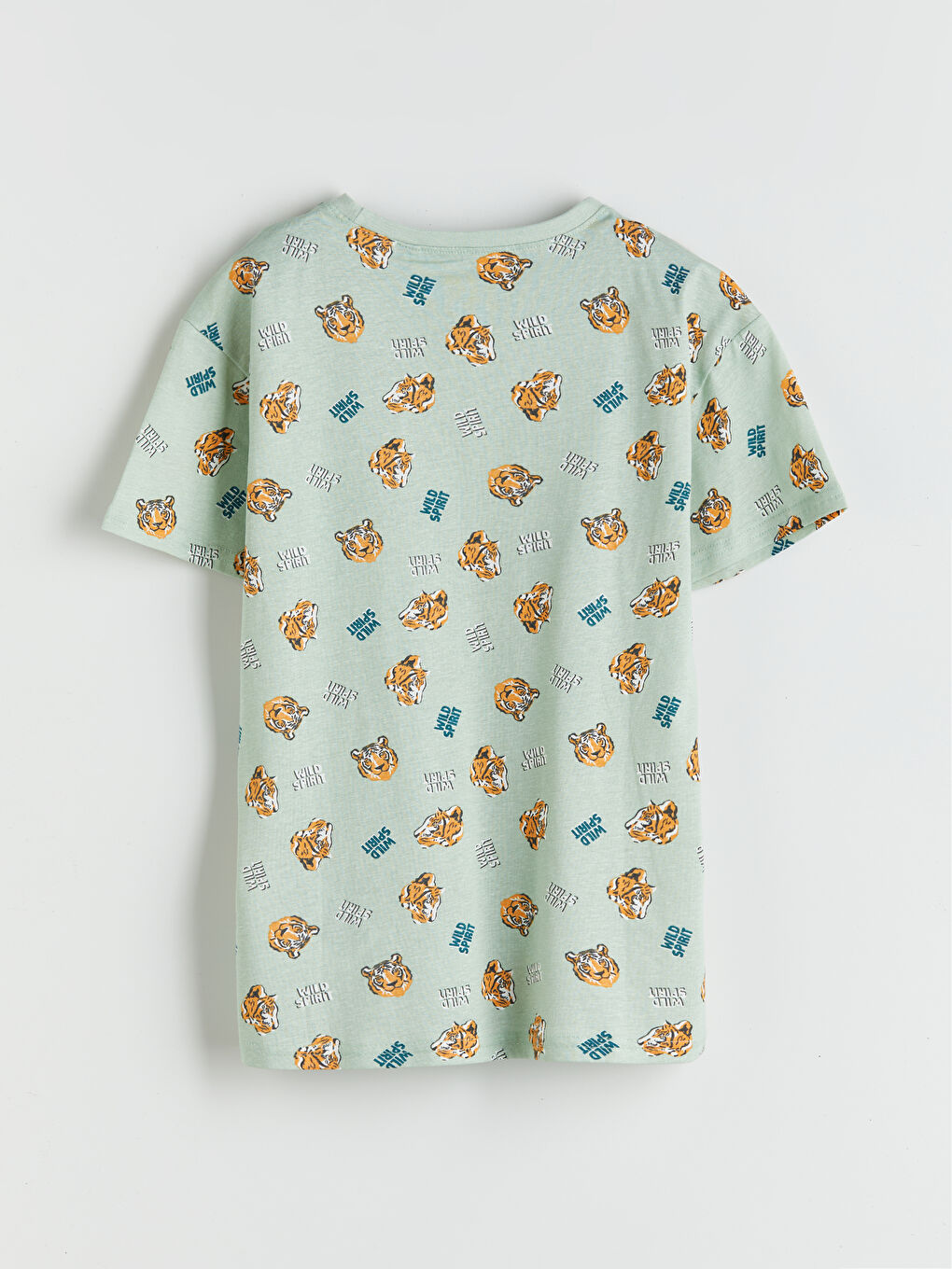 Crew Neck Printed Boys' Pyjama Set -S5AO99Z4-LRK