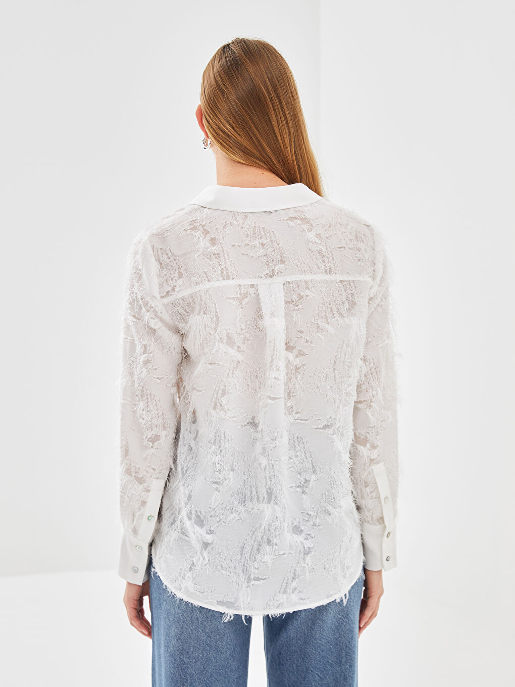 Collared Neck Patterned Tulle Jacquard Women's Blouse -S5BC16Z8-R9J