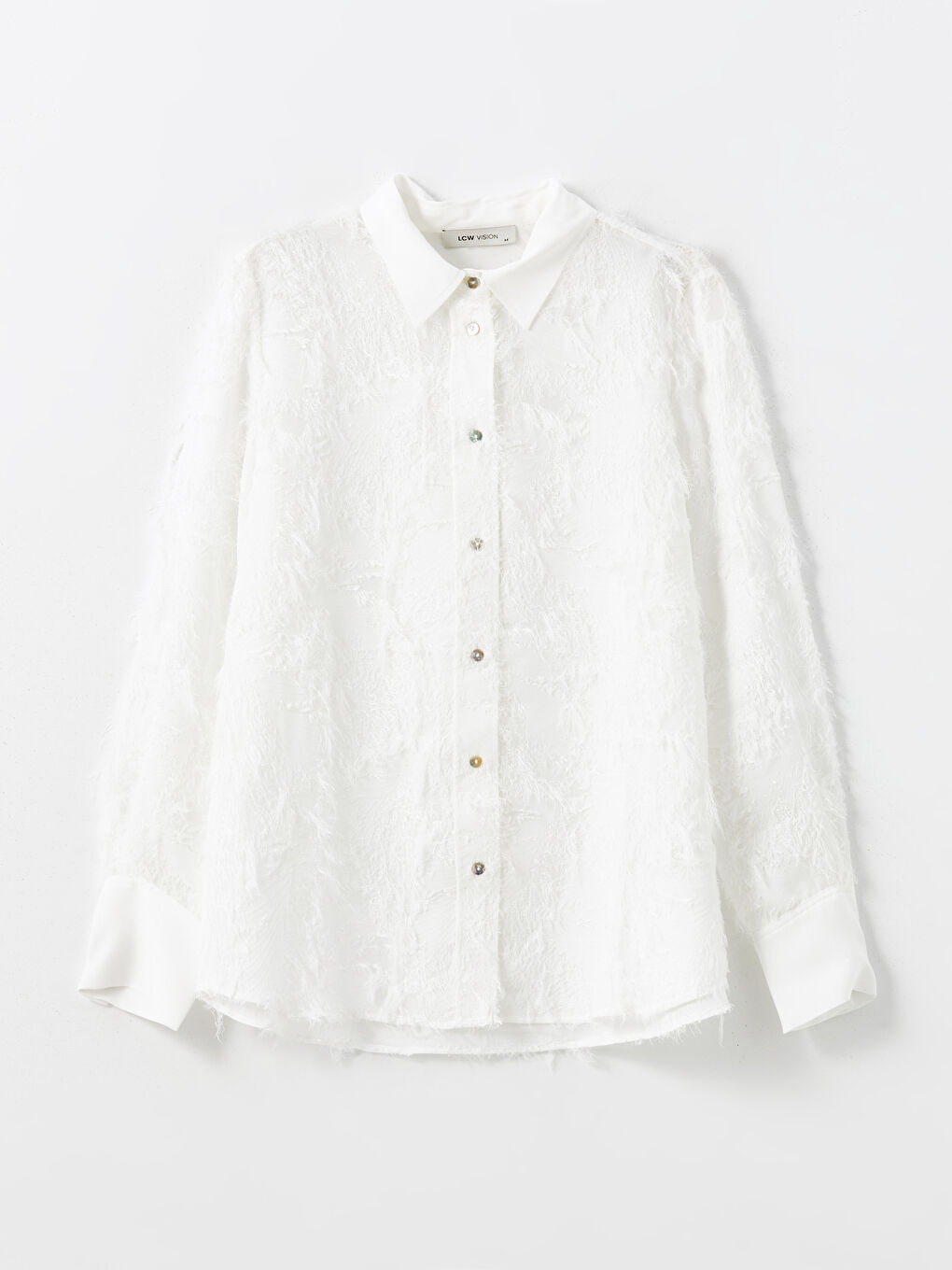 Collared Neck Patterned Tulle Jacquard Women's Blouse -S5BC16Z8-R9J