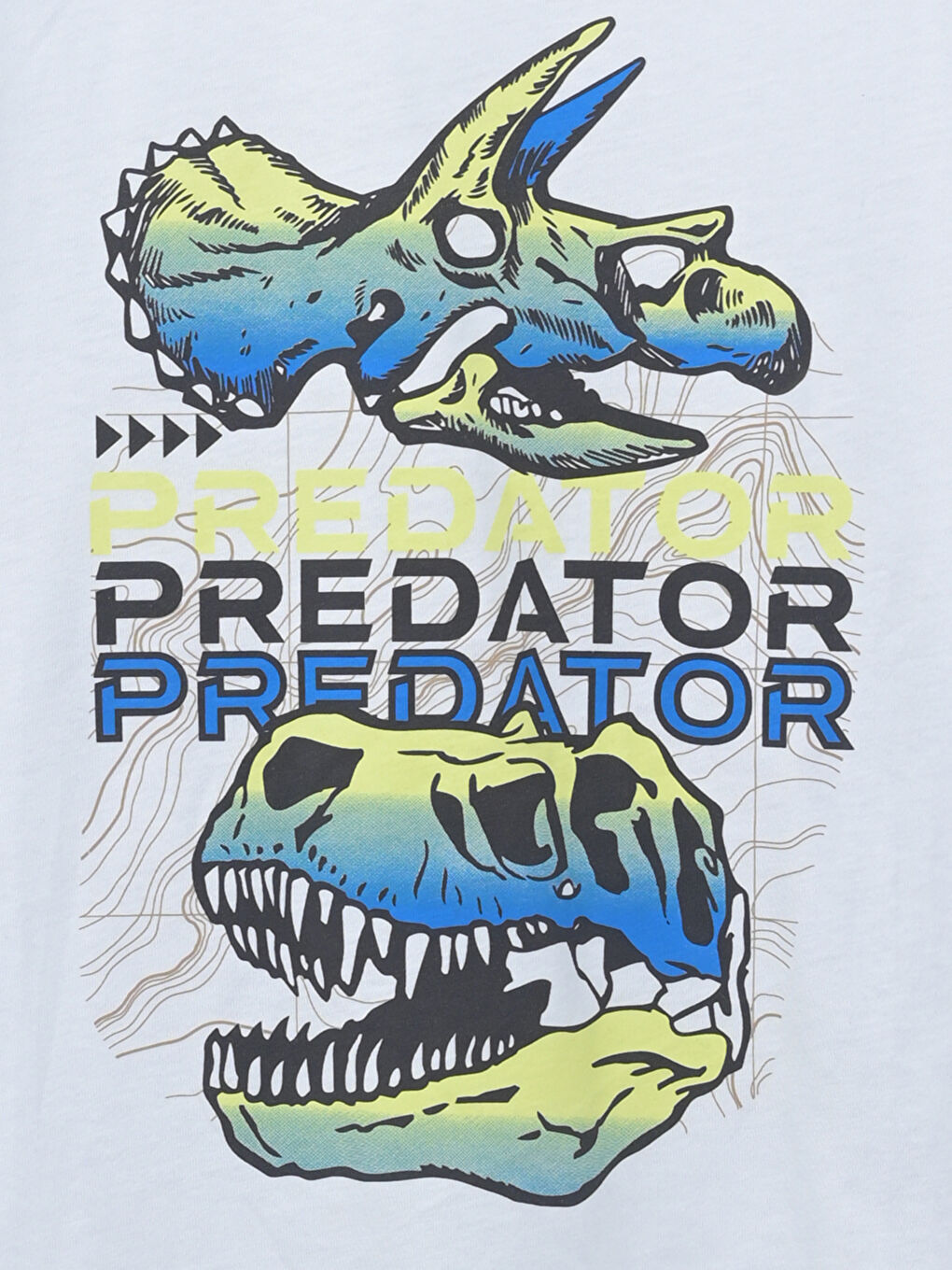 Crew Neck Printed Boys' Vest-2