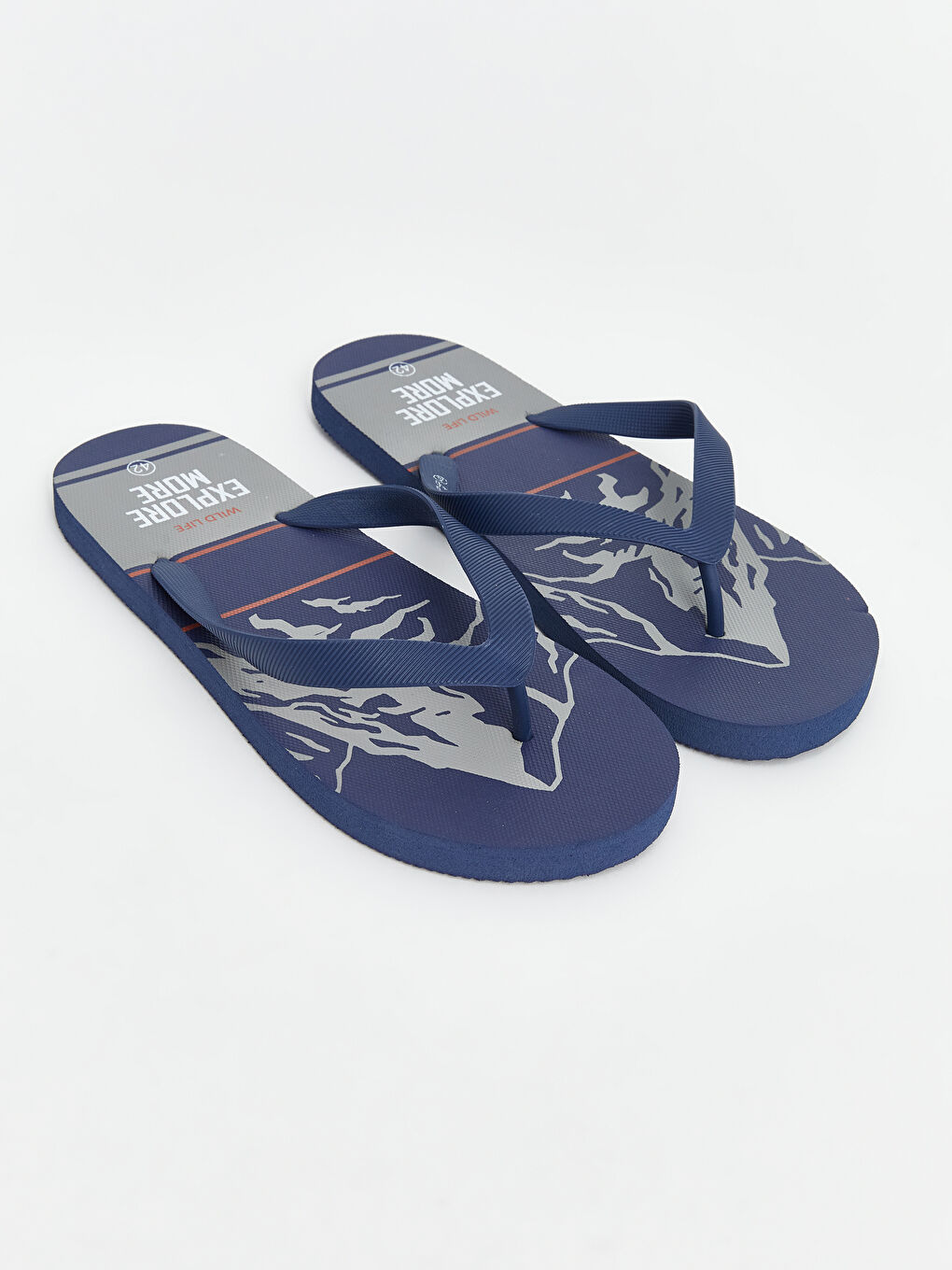 LCW STEPS Мъжки плажни джапанки -S5BS94Z8-F9C