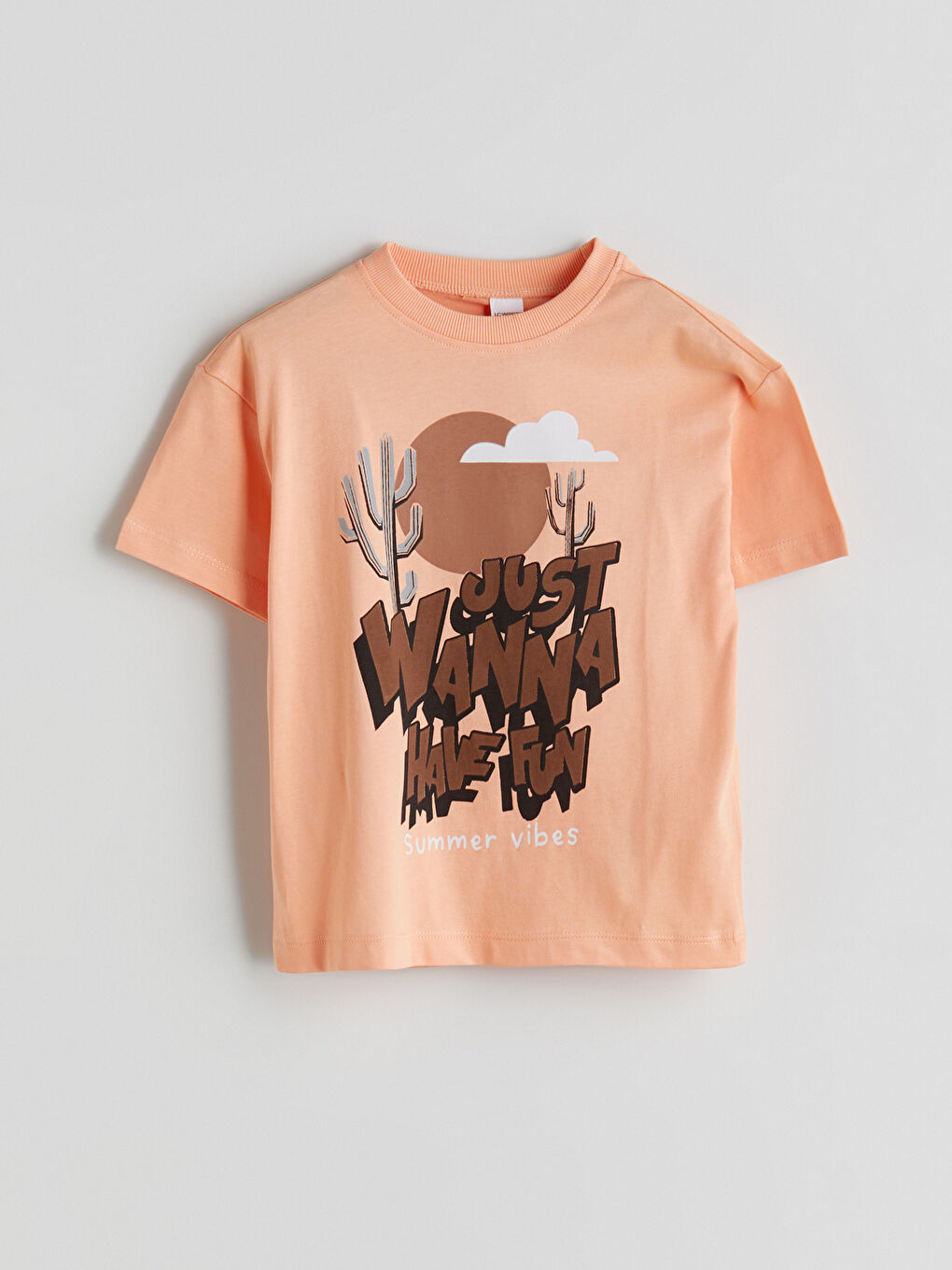 Crew Neck Printed Boys' T-Shirt -S5CC20Z1-G6Y