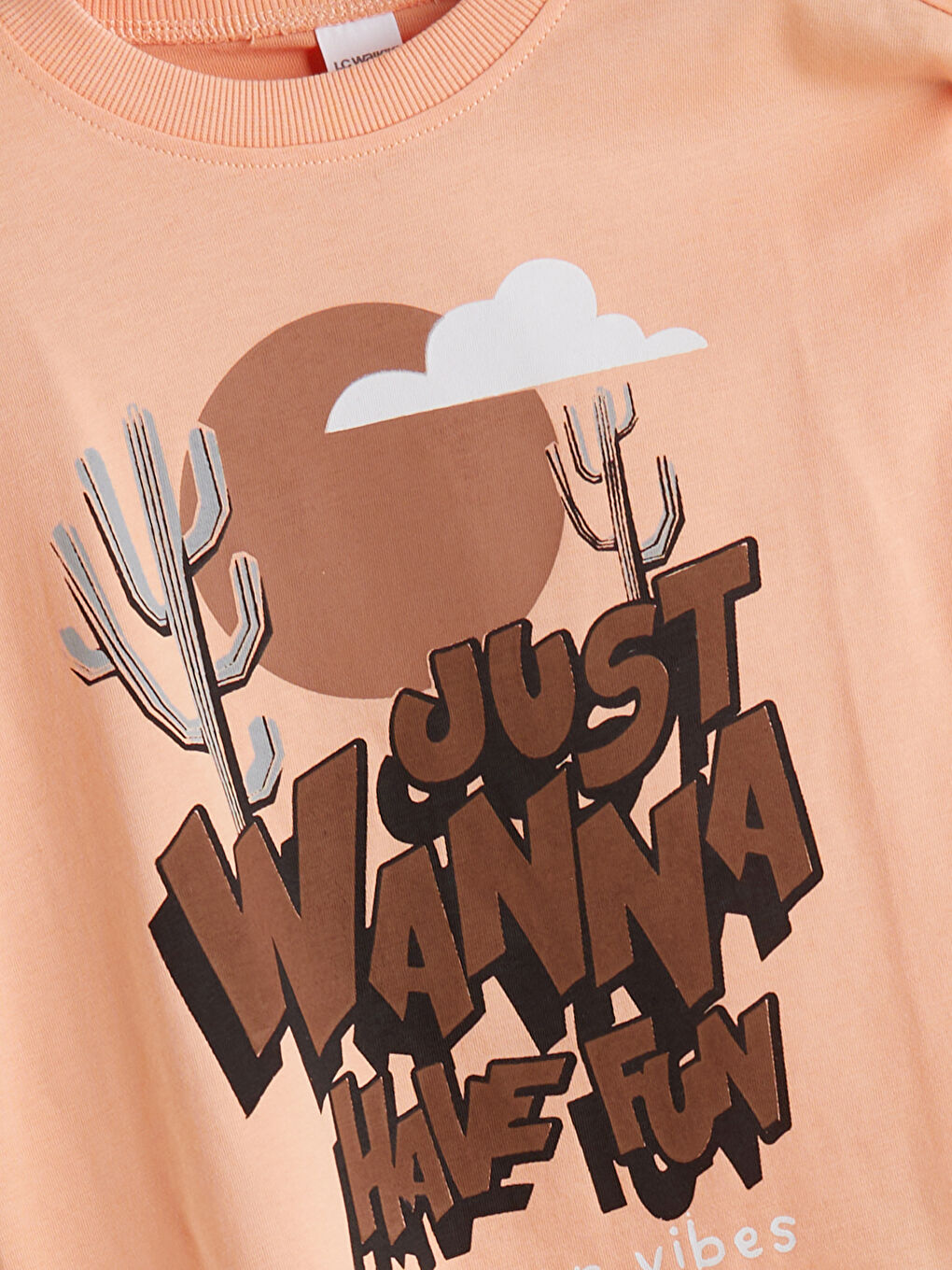 Crew Neck Printed Boys' T-Shirt -S5CC20Z1-G6Y