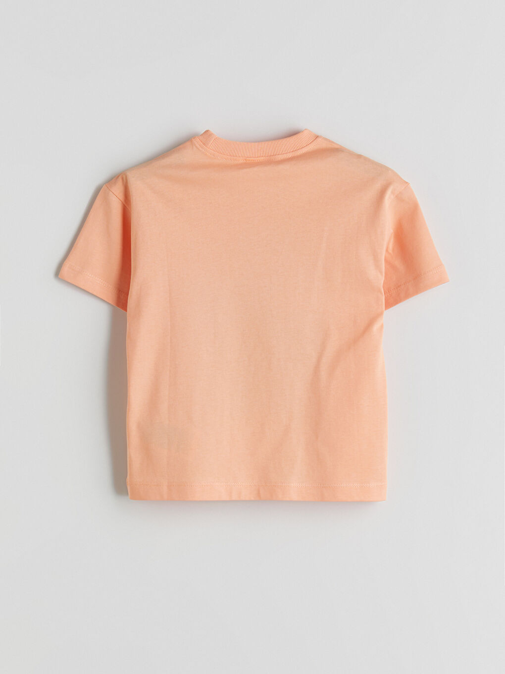 Crew Neck Printed Boys' T-Shirt -S5CC20Z1-G6Y