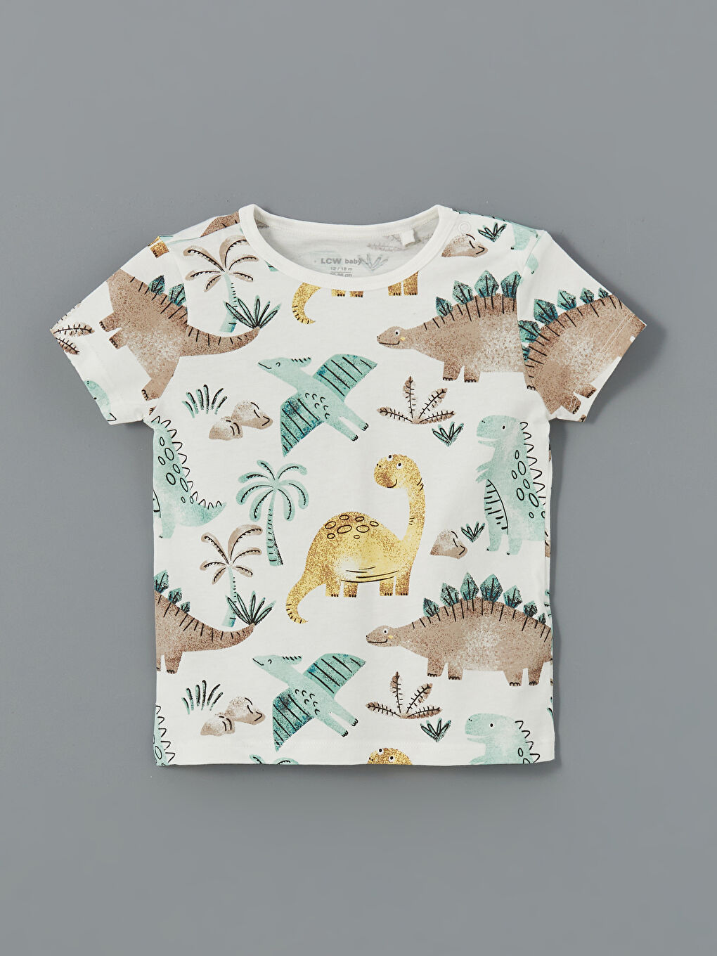 Lot de 2 T-shirts et Shorts Imprimés pour Bébé Garçons-1