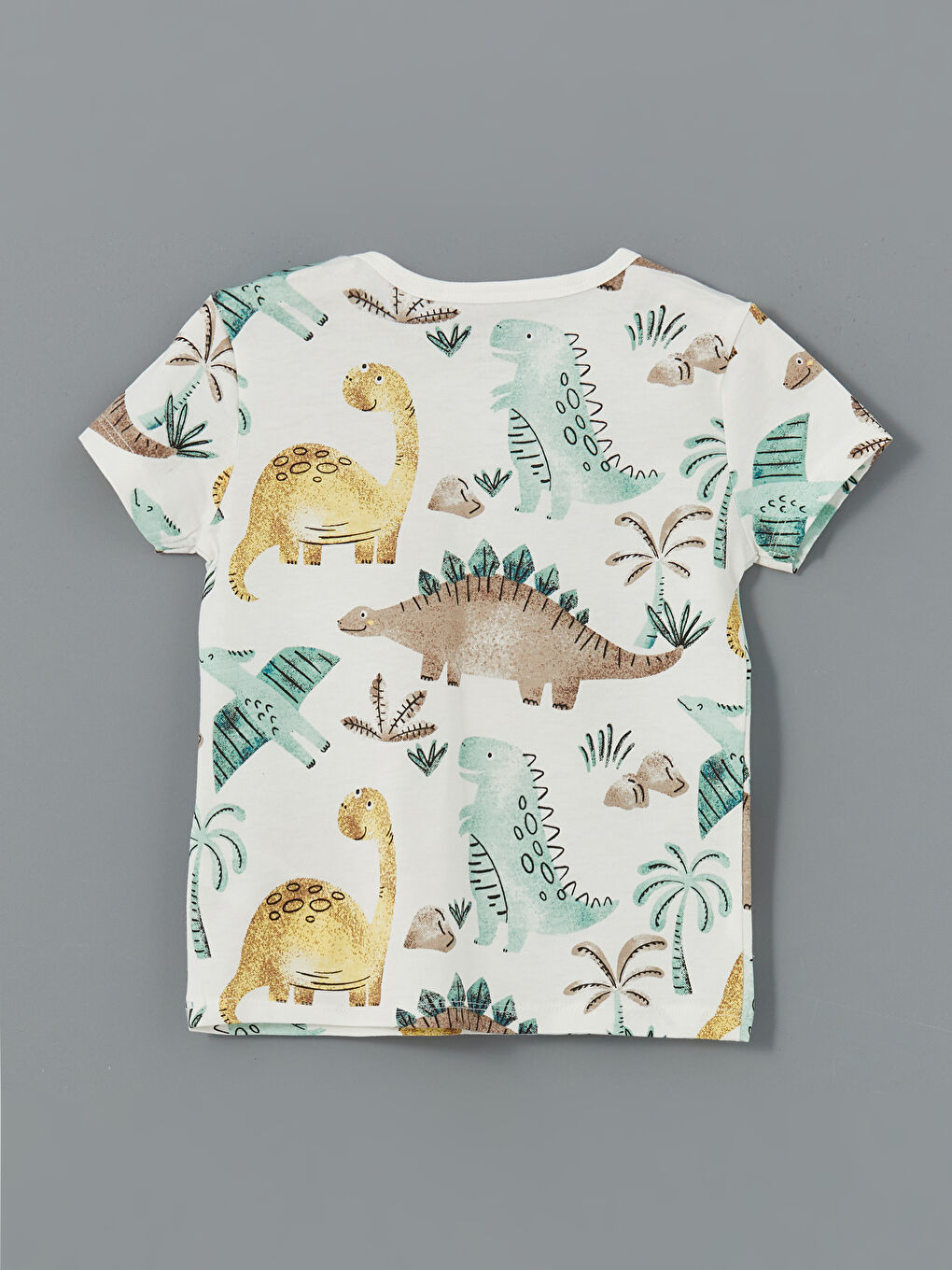 Lot de 2 T-shirts et Shorts Imprimés pour Bébé Garçons-2