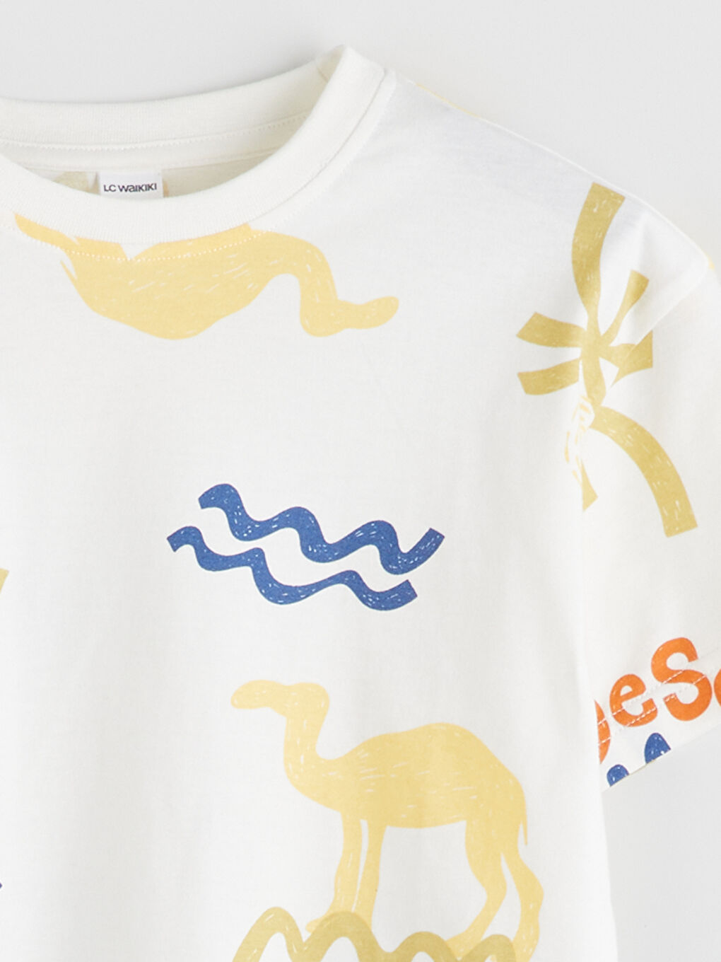 Crew Neck Printed Boys' T-Shirt -S5CL02Z1-LQA