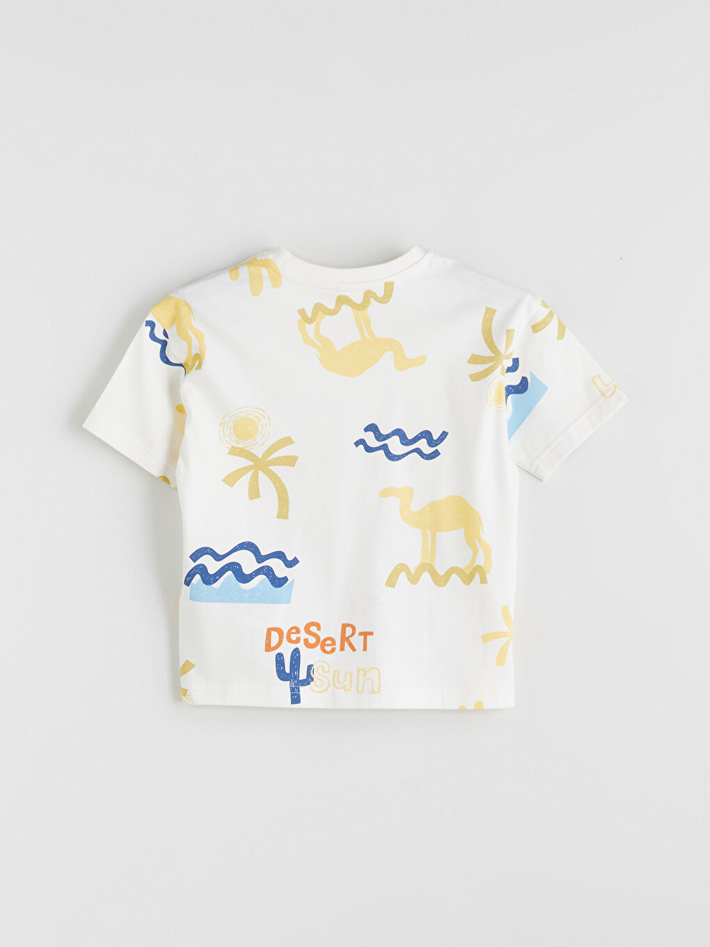 Crew Neck Printed Boys' T-Shirt -S5CL02Z1-LQA