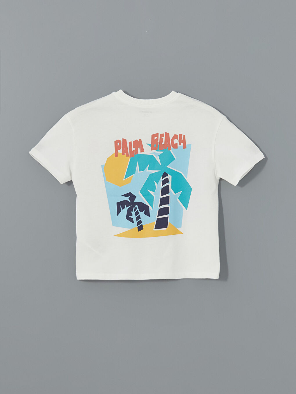 Crew Neck Printed Boys' T-Shirt -S5CL09Z1-R9J