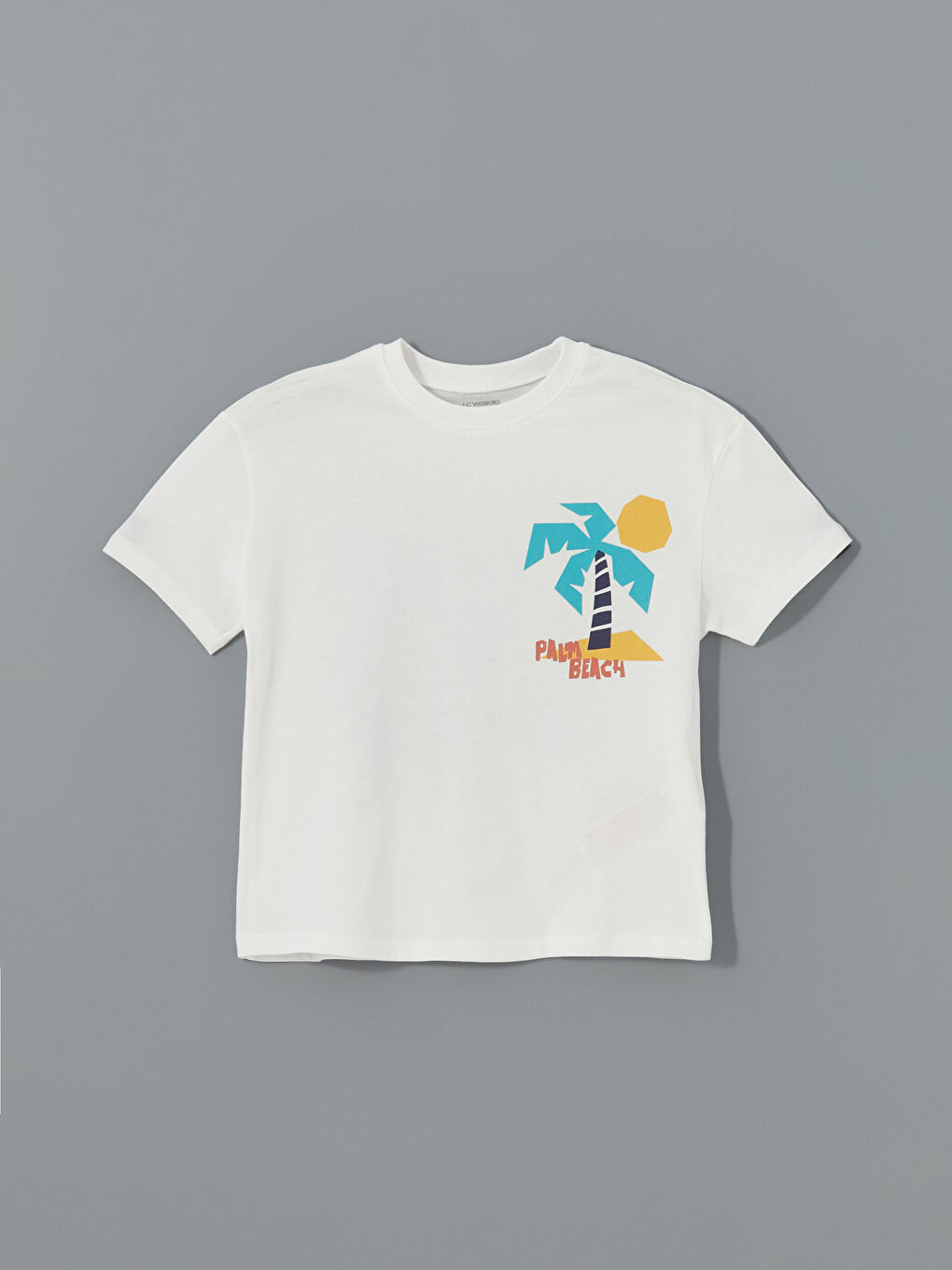 Crew Neck Printed Boys' T-Shirt -S5CL09Z1-R9J