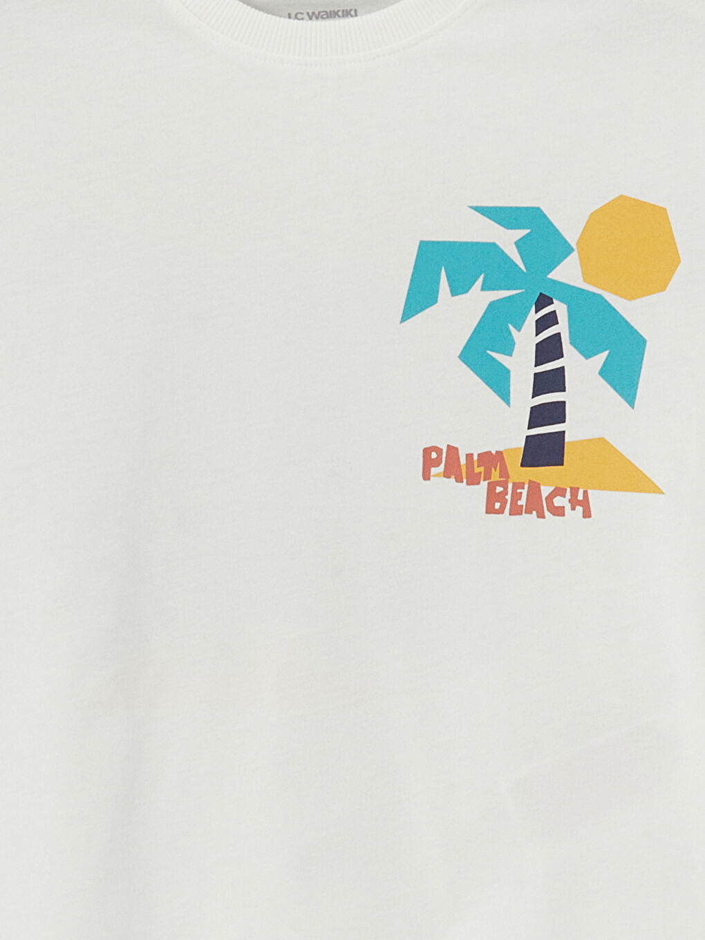 Crew Neck Printed Boys' T-Shirt -S5CL09Z1-R9J
