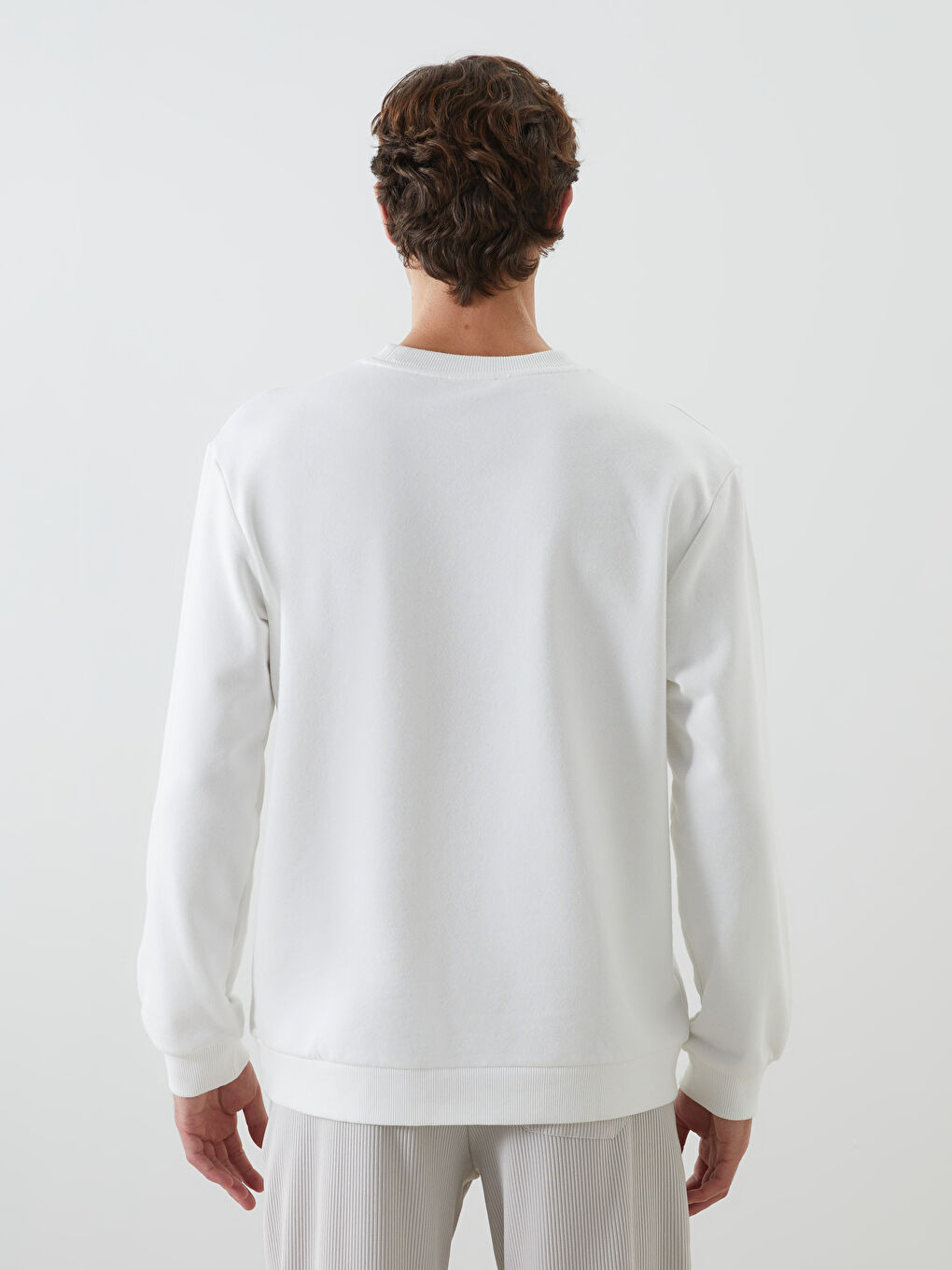 Crew Neck Long Sleeve Printed Men's Sweatshirt -S5CQ17Z8-R9J