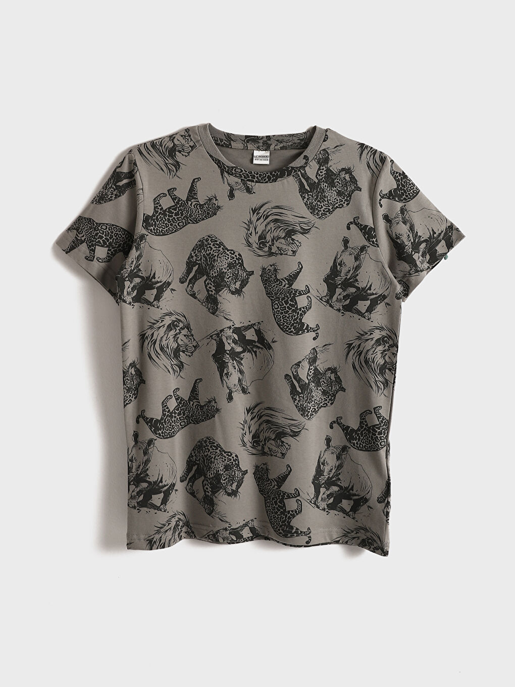 Crew Neck Printed Boys' T-Shirt