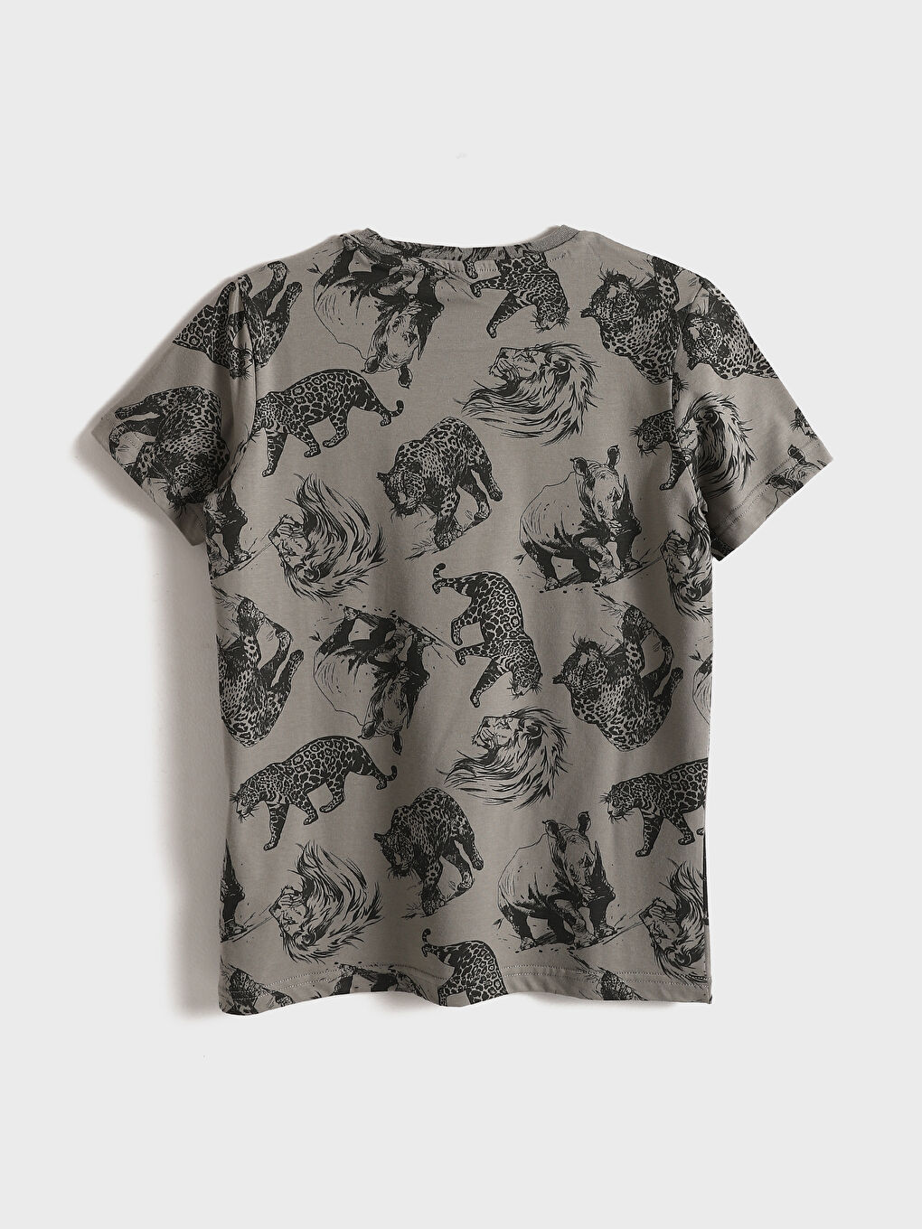 Crew Neck Printed Boys' T-Shirt-1