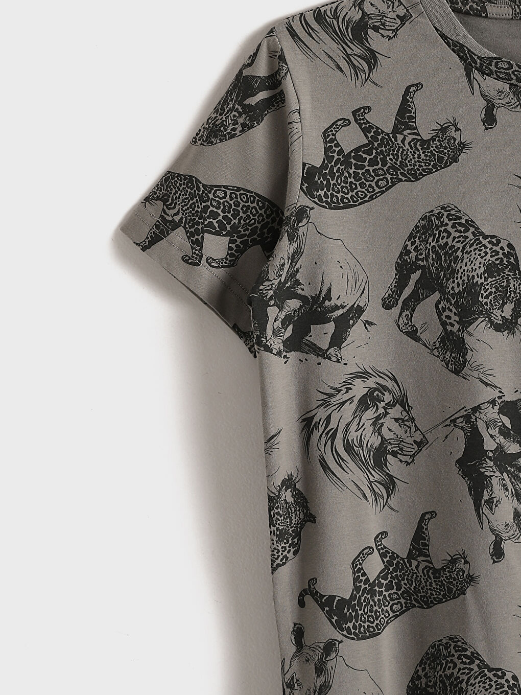 Crew Neck Printed Boys' T-Shirt-2