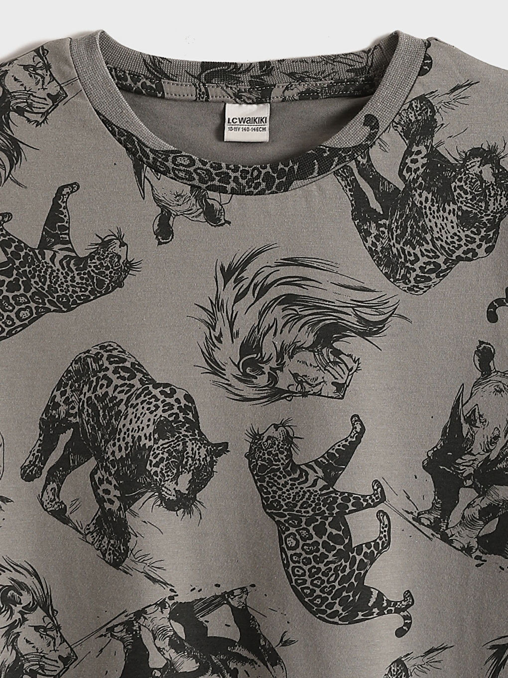 Crew Neck Printed Boys' T-Shirt-3