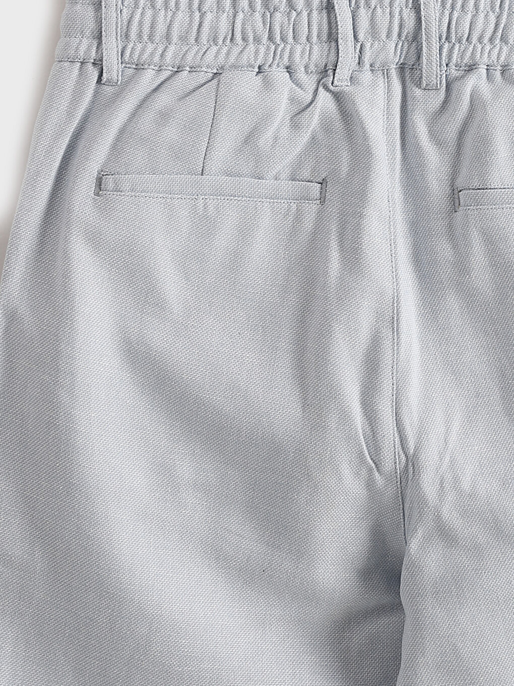 Standard Fit Linen Blend Men's Shorts-3