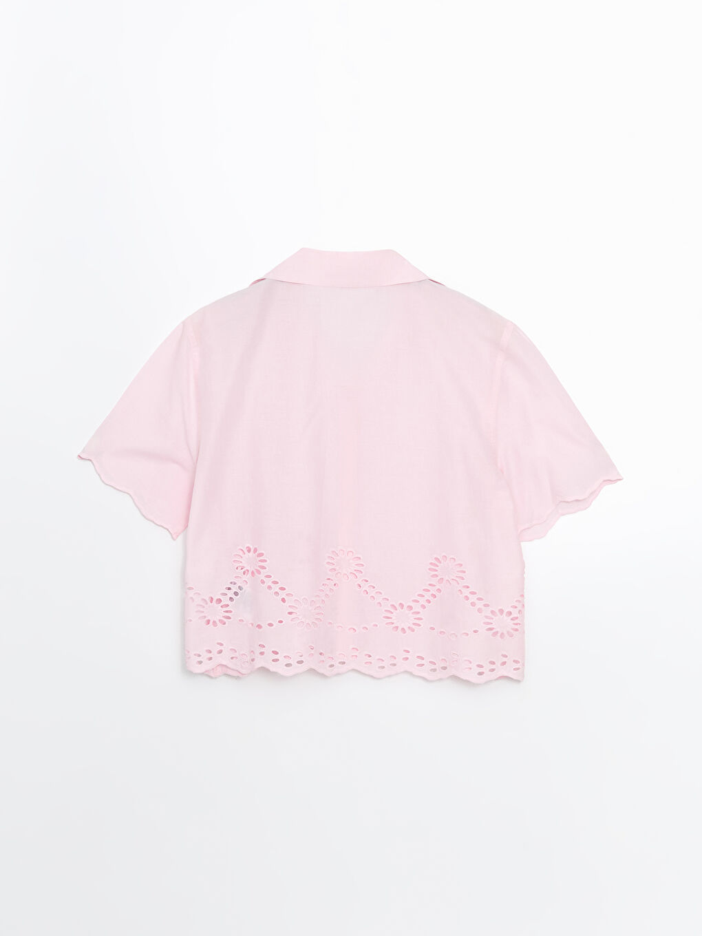 Collared Neck Hole-Knitted Broderie Women's Blouse -S5DG09Z8-DMQ