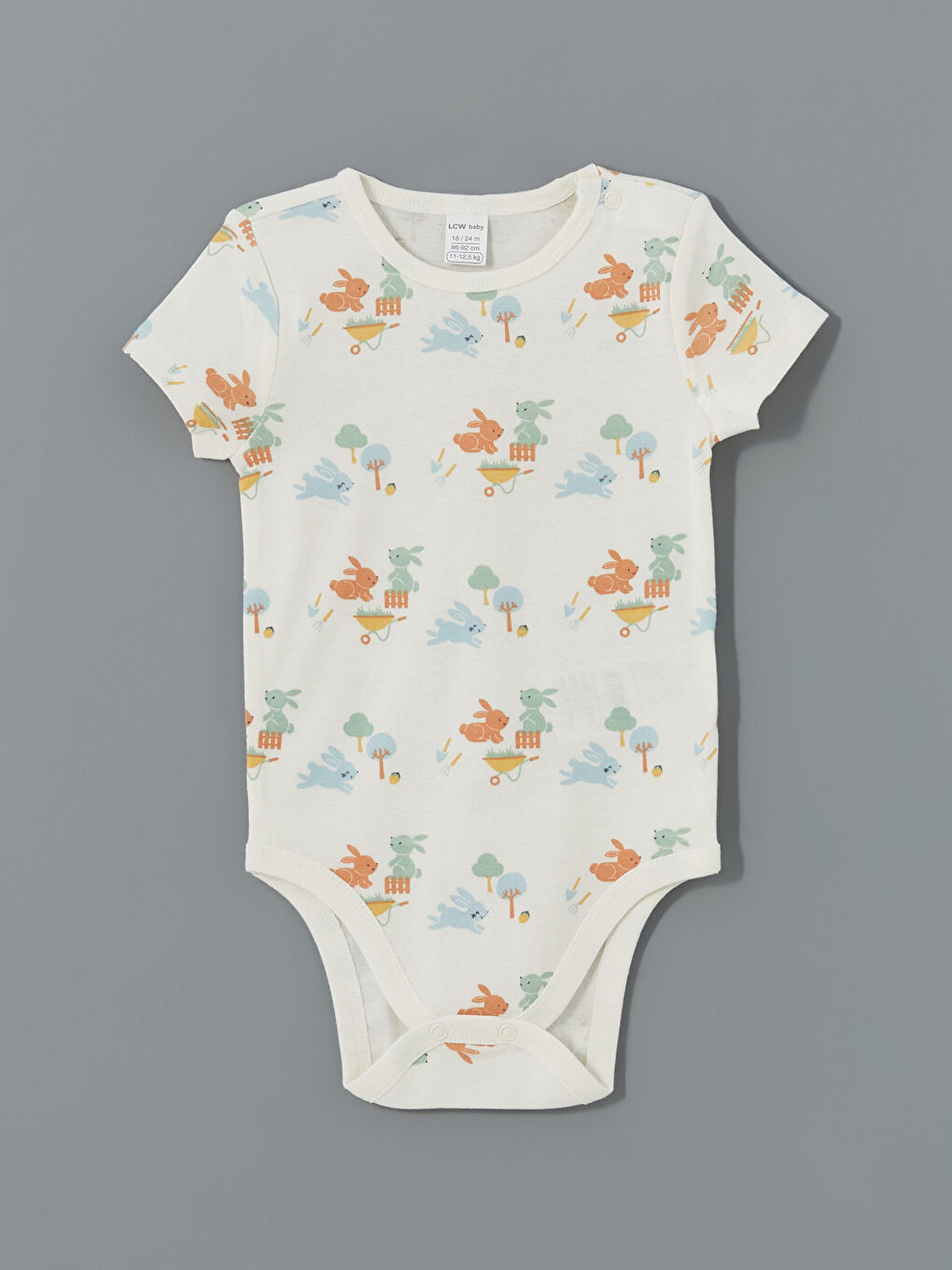 Baby Boy Snap Bodysuit 2 Piece Set -S5DL38Z1-FTU